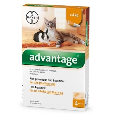 29906af0 1250 4255 B6ac 288c0c625700 1