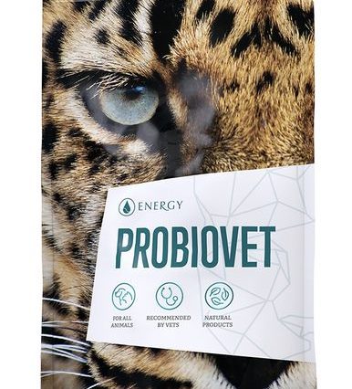 EnergyVet Probiovet kapszula 90db