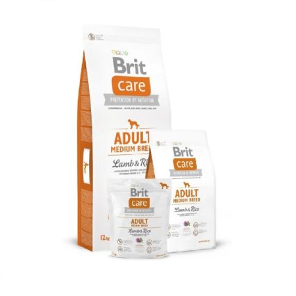 Bd80e392 A12e 4e7d Abd5 1c90455ee897 1