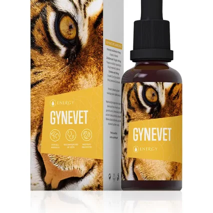 Gynevet Lores.jpg