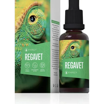 Regavet Lores.jpg