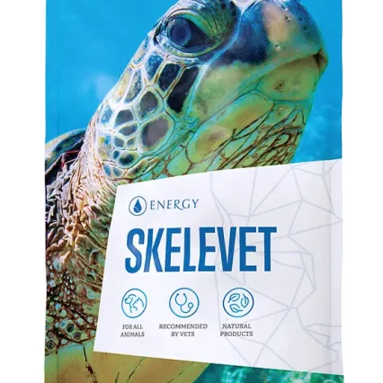 Skelevet Lores.jpg
