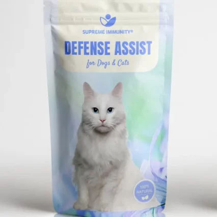 Defense Assist Front.jpg