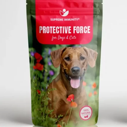 Protective Force Front.jpg