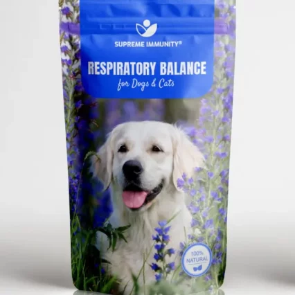 Respisatory Front.jpg