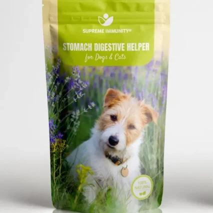 Stomach Digestive Helper.jpg