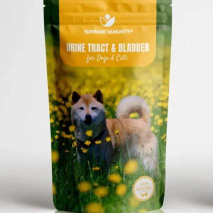 Urine Tract Front.jpg