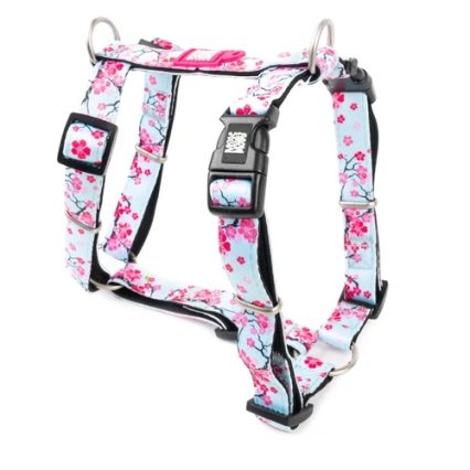 0b076ae2 1e06 4945 B706 D5fef7f950d1 1.jpg