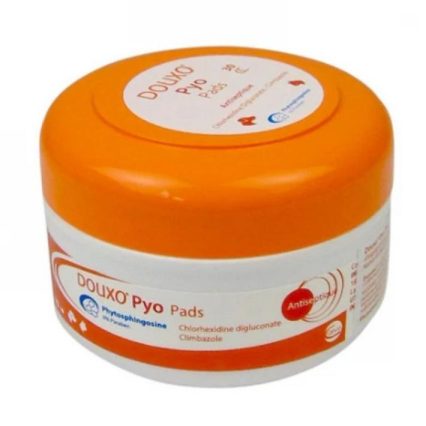 25edfdbc D049 441f 8ad5 1b948f9e6072 1.jpg