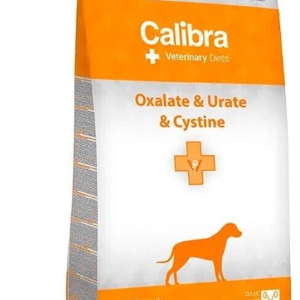 3b2d598a 398e 41a4 86d9 5a06c975cfac 1.jpg